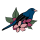 This Control Freak is Doubling Down in 2026 – Birds & Blossoms Avatar
